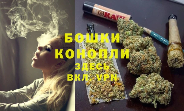 стафф Зерноград