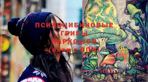 стафф Зерноград