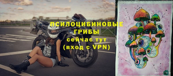 стаф Зеленодольск