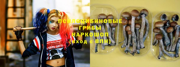 стаф Зеленодольск